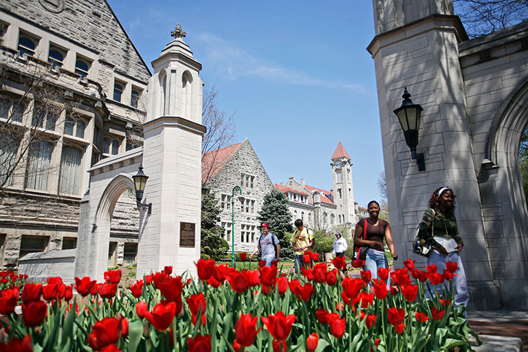 red tulips in front of sample gates and franklin hall
